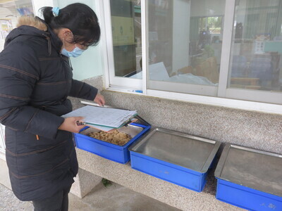 114-1午餐輔導圖片